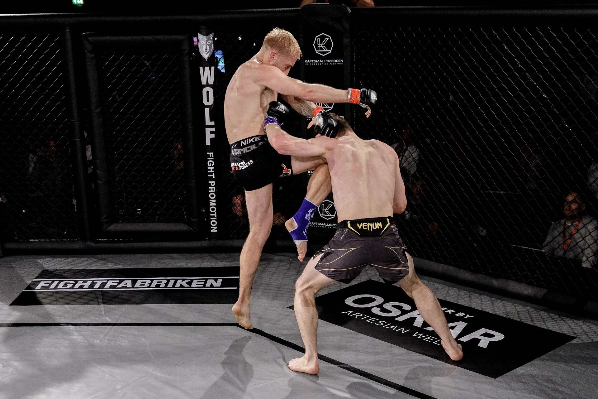 Wolf Fight Promotion 3