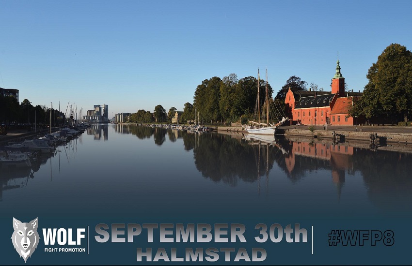 Wolf fight promotion 8