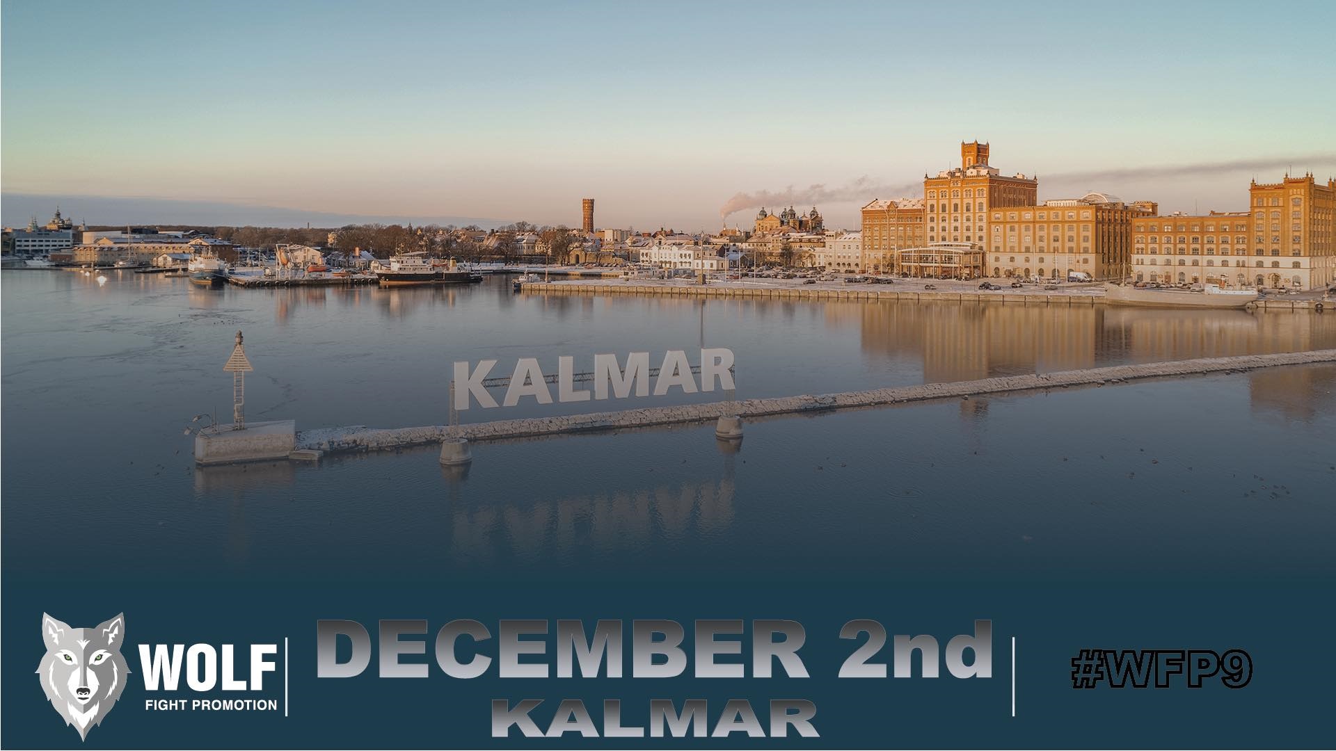 Wolf fight promotion 9